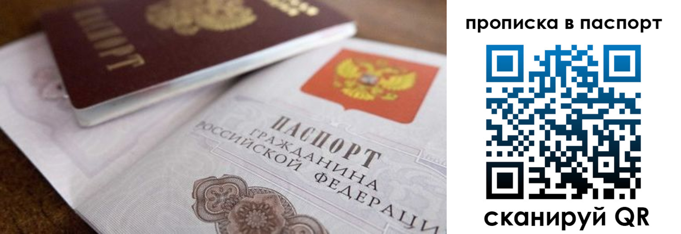 где прописаться в Вязьме